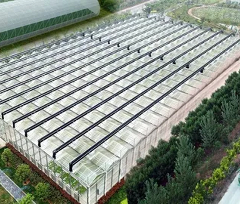 Steel Structure Engineering ng Shanghai Alibaba Digital Agriculture Project